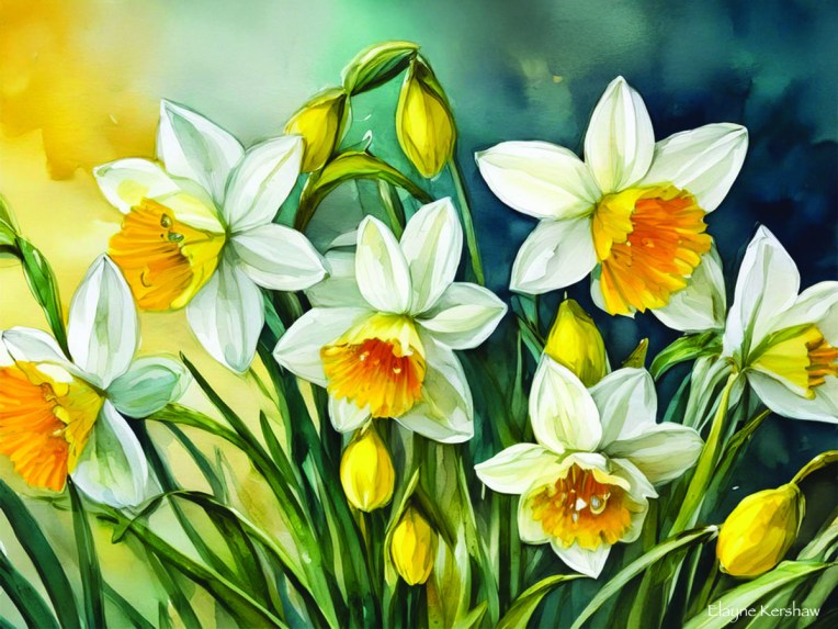 Daffodils and Snowdrops