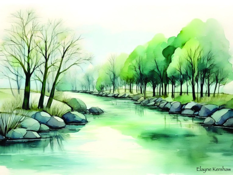 River Trees (3)